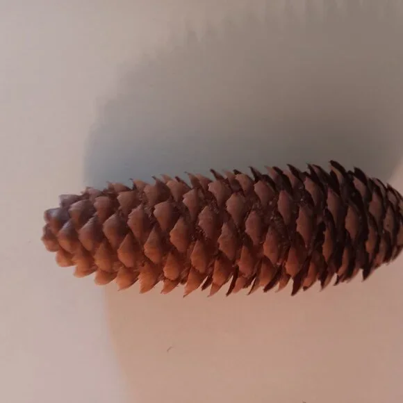 65 Natural Brown Pinecones for Crafts or Decor - Picture 2 of 4